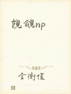 觊觎np