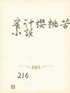 蜜汁樱桃苦咖啡小说封面