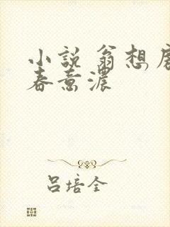 小说 翁想房中春意浓