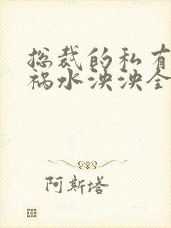 总裁的私有宝贝祸水泱泱全文阅读封面