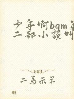 少年啊bgm第二部小说叫什么