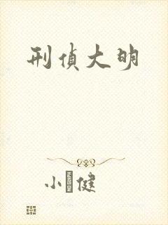刑侦大明