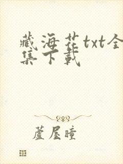 藏海花txt全集下载