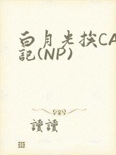 白月光挨CAO记(NP)