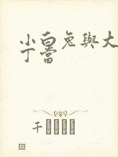 小白兔与大灰狼丁当