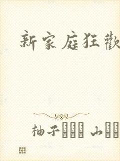 新家庭狂欢小说封面