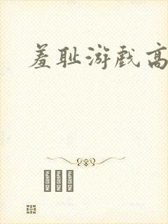 羞耻游戏高h封面
