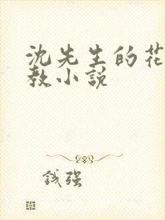 沈先生的花式调教小说
