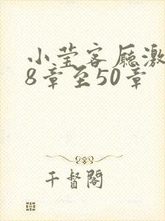 小莹客厅激情38章至50章封面