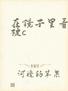 在镜子里看自己被c
