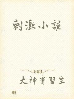 刺激小说