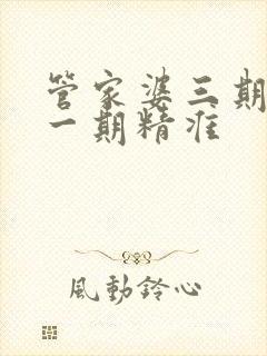 管家婆三期必开一期精准