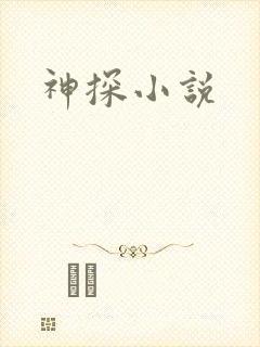 神探小说封面