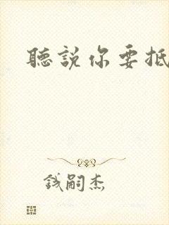 听说你要抵抗我封面