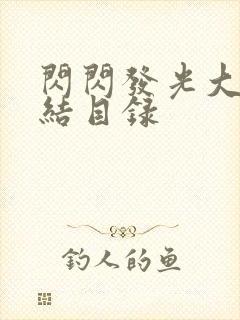 闪闪发光大团圆结目录封面