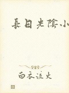 长日光阴小说封面