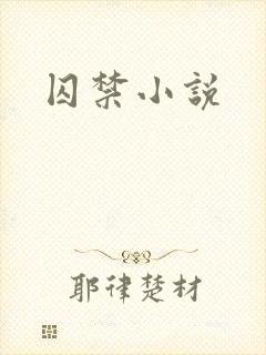 囚禁小说