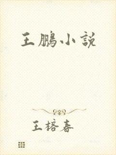王鹏小说