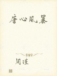 唐心风暴
