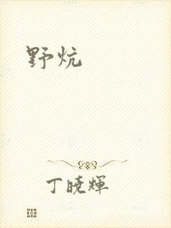 野炕
