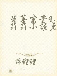 荣华富贵9小王莉莉小说免费阅读