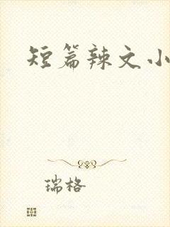短篇辣文小说