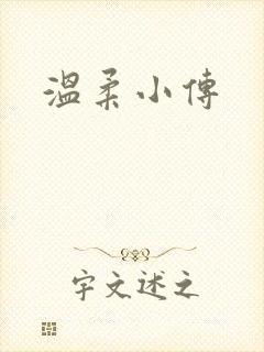 温柔小传封面