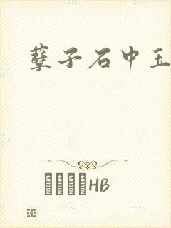 孽子石中玉
