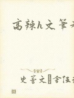 高辣h文笔趣阁