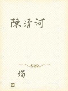 陈清河封面