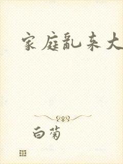 家庭乱来大杂烩封面
