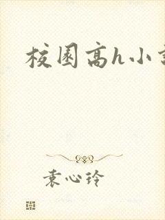 校园高h小说封面
