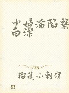 少妇沦陷系列之白洁
