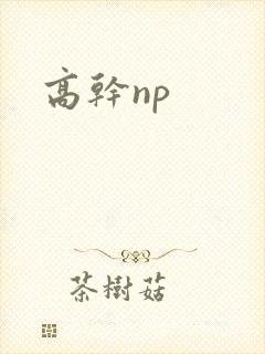高干np