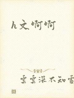 h文啊啊封面