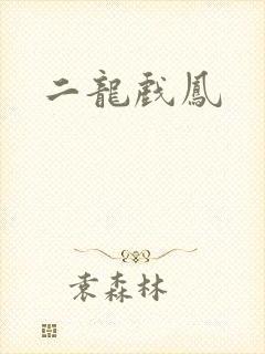 二龙戏凤