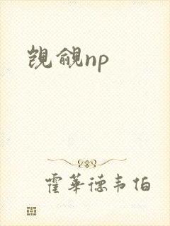 觊觎np封面