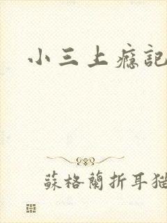 小三上瘾记