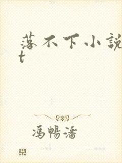 落不下小说txt