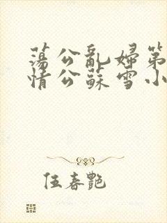 荡公乱妇第1章情公苏雪小说