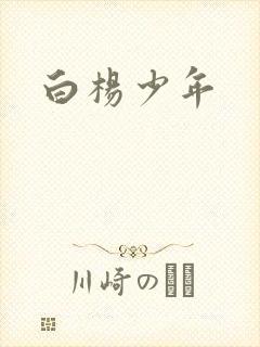 白杨少年