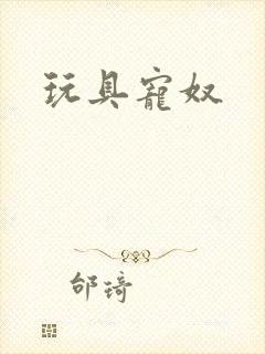 玩具宠奴