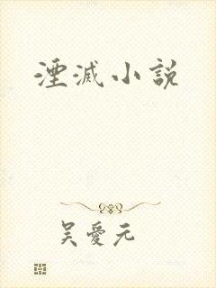 湮灭小说