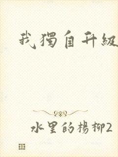 我独自升级小说