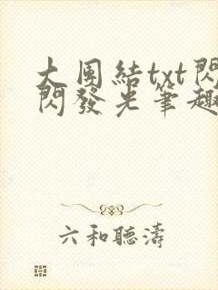大团结txt闪闪发光笔趣阁