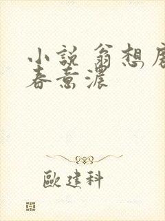 小说 翁想房中春意浓