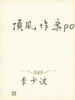 顶风作案po封面