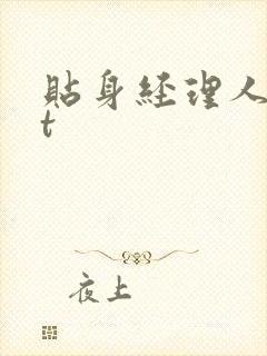 贴身经理人txt封面