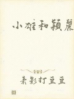 小雄和颖丽封面