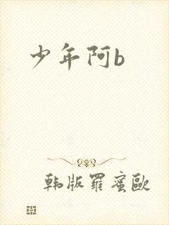 少年阿b封面